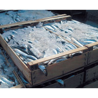 ヴァチカン　アンチョビフィレ・オリーブオイル漬け　1個