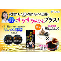 ファイン　極みの発酵黒にんにく黒酢 120粒　1個　サプリメント