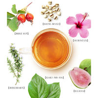 薬日本堂（ニホンドウ） 漢茶 美 KR4 1袋（6包入） お茶