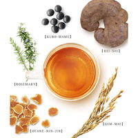 薬日本堂（ニホンドウ） 漢茶 気 KR0 1袋（6包入） お茶