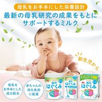 【0ヵ月から】森永 乳児用ミルク はぐくみ エコらくパック つめかえ用 800g（400g×2袋） 1箱　森永乳業 粉ミルク