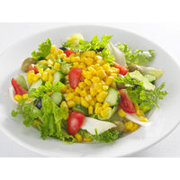 いなば食品　とれたてコーン　食塩無添加　素材缶詰　3パック（9缶）