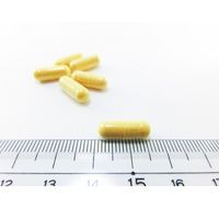 小林製薬の栄養補助食品　コエンザイムQ10　約30日分　60粒　サプリメント