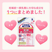 葉酸鉄カルシウム約30日分（90粒入り） 1セット（2袋） 【小林製薬の栄養補助食品】 サプリメント