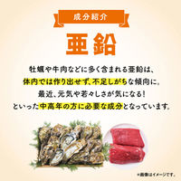 亜鉛 約30日分(60粒入り) 1袋 【小林製薬の栄養補助食品】 サプリメント