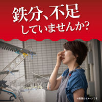 ヘム鉄 葉酸 ビタミンB12 約30日分(90粒入り)【小林製薬の栄養補助食品】×3袋　サプリメント