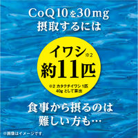 コエンザイムQ10α-リポ酸L-カルニチン 約30日分(60粒入り)【小林製薬の栄養補助食品】