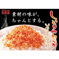 丸美屋 ソフトふりかけ さけ NP 28g 1セット（3袋）