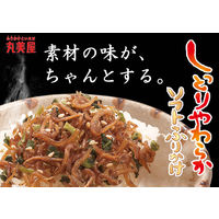 丸美屋 ソフトふりかけ ちりめん山椒 NP 28g 1セット（3袋）