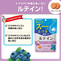 UHA味覚糖 UHA瞬間サプリ ルテイン30日分SP（60粒）1個