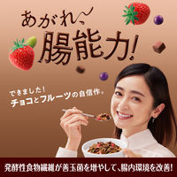 日本ケロッグ オールブラン ブランチョコフレーク 350g 6袋 【機能性表示食品】 シリアル