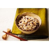 パックごはん18食 発芽玄米ごはん160g 18個幸南食糧