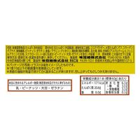 UHA味覚糖 SIXPACKケトプロテインバー チョコナッツ　10個