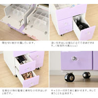 【軒先渡し】サン パルル コスメボックス 幅400×奥行355×高さ515ｍｍ パープル 61174 1台（直送品）