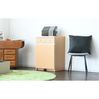 【軒先渡し】サン ワルツ ダストカウンター 53L 幅550×奥行450×高さ805ｍｍ ナチュラル 89013 1台（直送品）