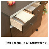 【軒先渡し】サン ワルツ ダストカウンター 53L 幅550×奥行450×高さ805ｍｍ ブラウン 89011 1台（直送品）