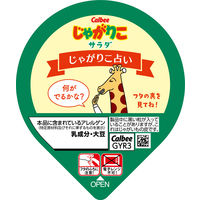 カルビー　じゃがりこサラダ 57ｇ 1セット（6個） ポテトスナック