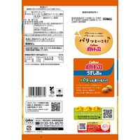 カルビー　ポテトチップスうすしお味 55g 1セット（3袋）