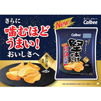 カルビー 堅あげポテトうすしお味 65g 1セット（6袋入）