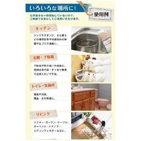 除菌消臭スプレー 500ml 天然スーパーバイオ210 強力除菌スプレー 安全な天然成分100％ 感染症対策（直送品）