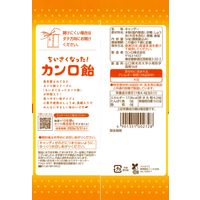 キャンディ 小粒 個包装 ちいさくなったカンロ飴 小粒 50g 1セット（1個×16）