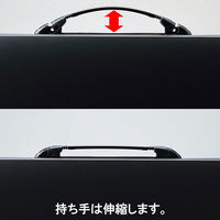 リヒトラブ(LIHIT LAB.) ポートフォリオ・ナスカフレックス A2 F914（わけあり品）