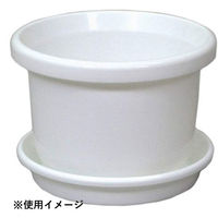 アップルウェアー 鉢皿F型 12号 4905980478015 1個（わけあり品）