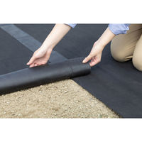 アイリスオーヤマ 防草シート 50M ブラック BS-50 1本（わけあり品）