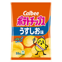 ポテトチップス 食べきりサイズ おつまみ 人気3種アソート 55g 1セット（1個×12）