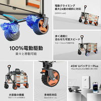 イチネンアクセス 電動キャリーワゴン W2 PRO 1台（直送品）