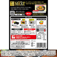 エスビー食品 噂の名店 THE MEAT とろとろ牛すじカレー 辛口 180g 1セット（1個×3）レンジ対応 レトルト
