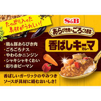 エスビー食品 あらびき肉＆ごろごろ野菜 香ばしキーマカレー 中辛 150g 1個 レンジ対応 レトルト