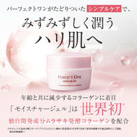 パーフェクトワン オールインワンジェル モイスチャージェル 75g  レフィル 新日本製薬