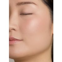 naturaglace（ナチュラグラッセ） チークブラッシュN 03 アプリコットオレンジ