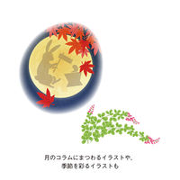 【アウトレット】【2026年度版カレンダー】新日本カレンダー 月と暦 8943 1冊