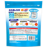 ピクス 食洗機用洗剤 大容量 1000g 1セット（1個×3）ライオンケミカル