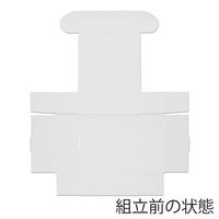 シモジマ フリーBOX Fー4 006205004 1袋(10枚)（わけあり品）