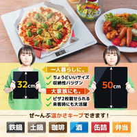 サンコー 「フードウォーマープレート L ブラック」 FDWRPLSBK 1台（わけあり品）