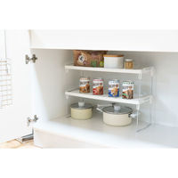 和平フレイズ かちこれ 積み重ね棚(L) RG-0556 1個（わけあり品）