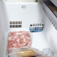 脱臭剤 炭番 冷凍室用 置き型 120g  強力脱臭 約5～6カ月分 日本製 1個 小久保工業所