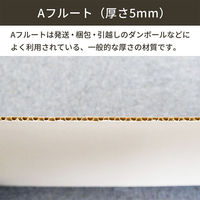 ノーブランド 板ダンボール 片面白 FB13-0010-AS 120×90cm 5mm 4573639424081 1セット(10枚入)（直送品）