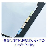 キングジム　クリアファイル 差し替え式　A4タテ背幅40mm　カラーベース　黒　139W（わけあり品）