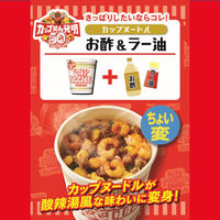 [フォーク付き]日清食品 カップヌードルBIG[大盛]12個　＋カップヌードル専用フォーク6本セット　詰合せセット