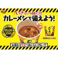 日清食品 カップ麺・ライス 3種[カレーメシ/カップヌードル/タテ型どん兵衛]計18食＋オリジナルばんそうこう18枚入詰合せセット