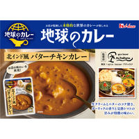 ハウス食品 地球のカレー 北インド風バターチキンカレー 中辛 180g 1個 レンジ対応 レトルト
