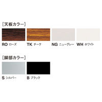 【軒先渡し】ニシキ工業 折りたたみテーブル 幅1500×奥行600mm チーク×ブラック AAT-B1560S-TK 1台（直送品）