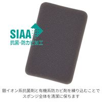 （季節・数量限定）亀の子スポンジ スタンダード 角型 コーヒー キッチンスポンジ 抗菌・防カビ加工 1個 亀の子束子西尾商店