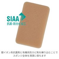 （季節・数量限定）亀の子スポンジ スタンダード 角型 カフェオレ キッチンスポンジ 抗菌・防カビ加工 1個 亀の子束子西尾商店