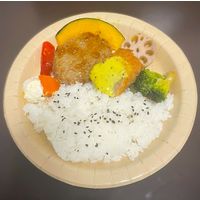 ペーパーウェア 竹パルプ ペーパープレート ハード 22cm 1箱（800枚：50枚入×16袋）