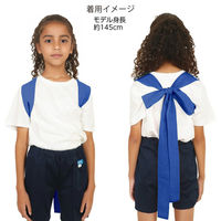 アーテック ロングカラーたすき 青 19056 1セット(1本×3)（直送品）